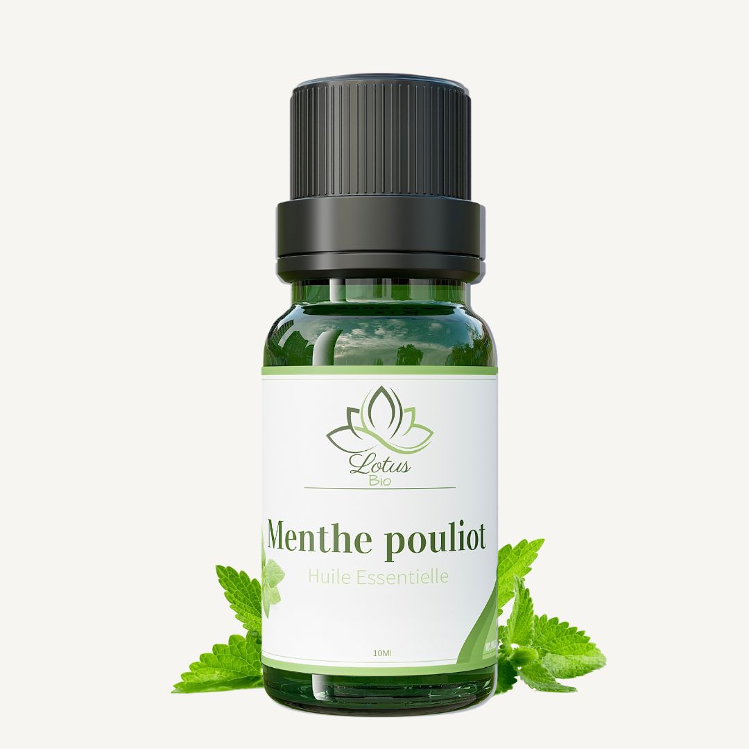 LB-0049-Huile-essentielle-de-menthe-pouliot-essential-oil.jpg