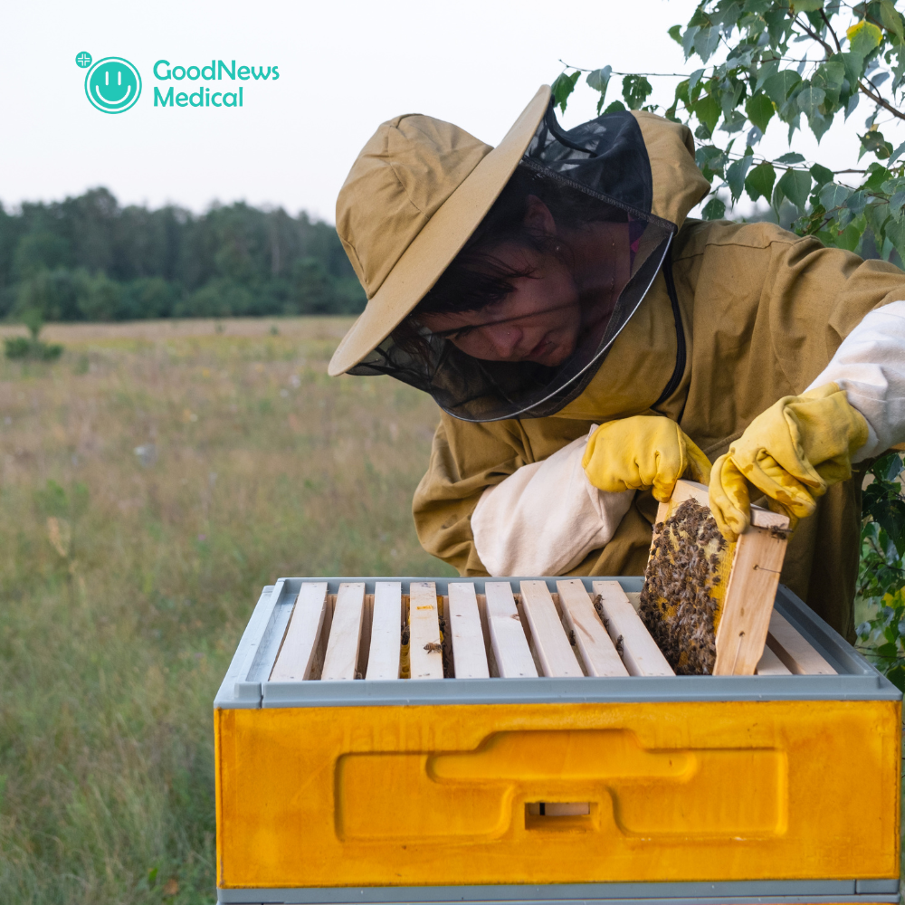 DIETAROMA La Ruche Merveille 20 Ampoules × 15ml