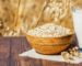 oat milk-lait d'avoine-gnp